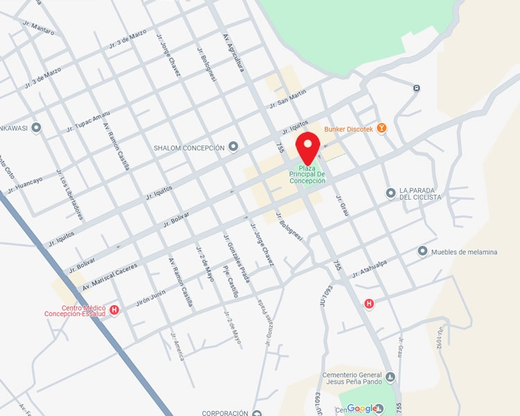 Concepción